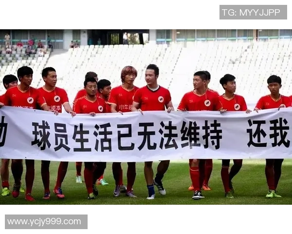 成都足球队灵活性引发热议球迷与专家各执己见的背后故事